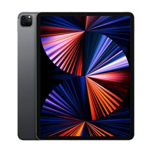 Apple iPad Pro 12.9" WiFi + LTE 2021 256GB, tumehall