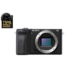 Корпус гибридной фотокамеры Sony a6600, черный