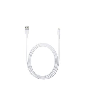 Lightning to USB Cable 2.0M Lightning USB kaabel (2m), valge