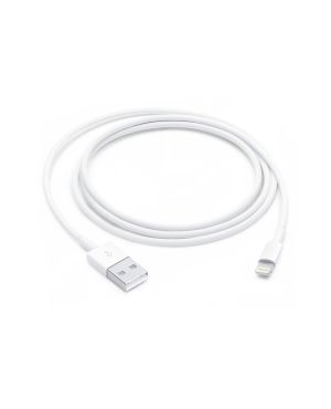 Lightning USB kaabel (1m), valge