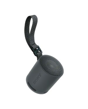 Sony Портативная Bluetooth колонка SRS-XB100, черный